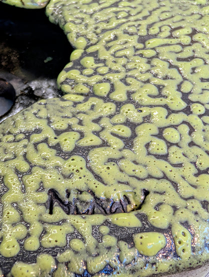 Γυάλωμα Stoneware Amaco Celadon No. CR-41 Lime.